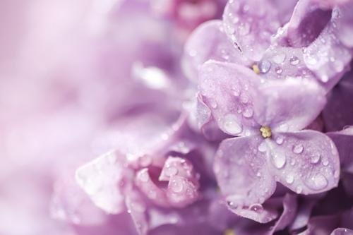 Your Face is a Reflection of your Internal Health - Jennifer Young